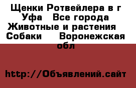 Щенки Ротвейлера в г.Уфа - Все города Животные и растения » Собаки   . Воронежская обл.